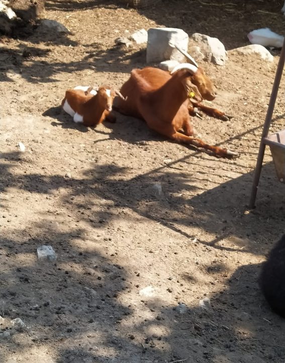 WhatsApp Image 2021-09-07 at 11.27.27 (2)