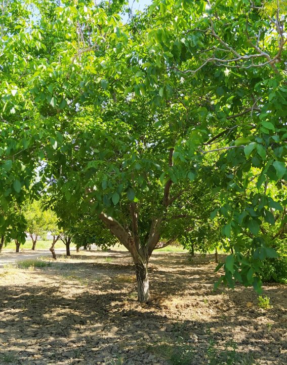 WhatsApp Image 2021-09-07 at 11.30.14