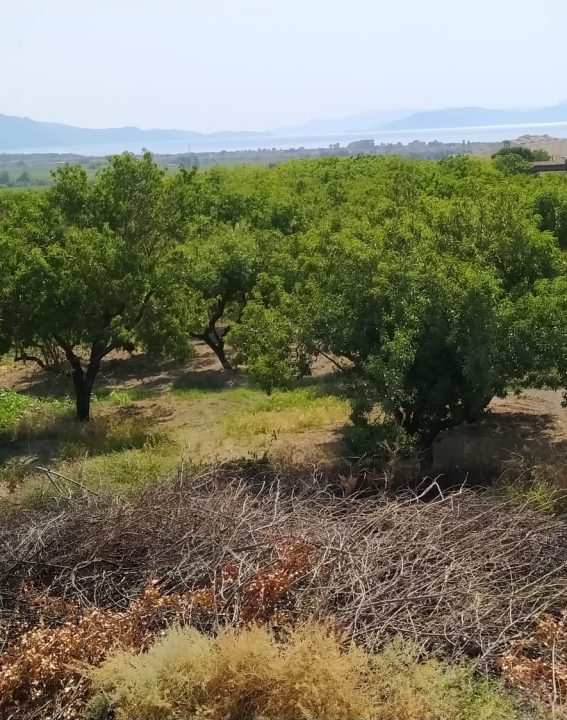 WhatsApp Image 2021-09-07 at 11.30.18 (1)