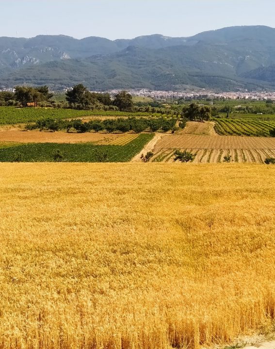 WhatsApp Image 2021-09-07 at 11.30.18 (3)