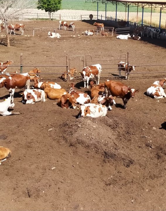 WhatsApp Image 2021-09-07 at 11.30.19 (1)