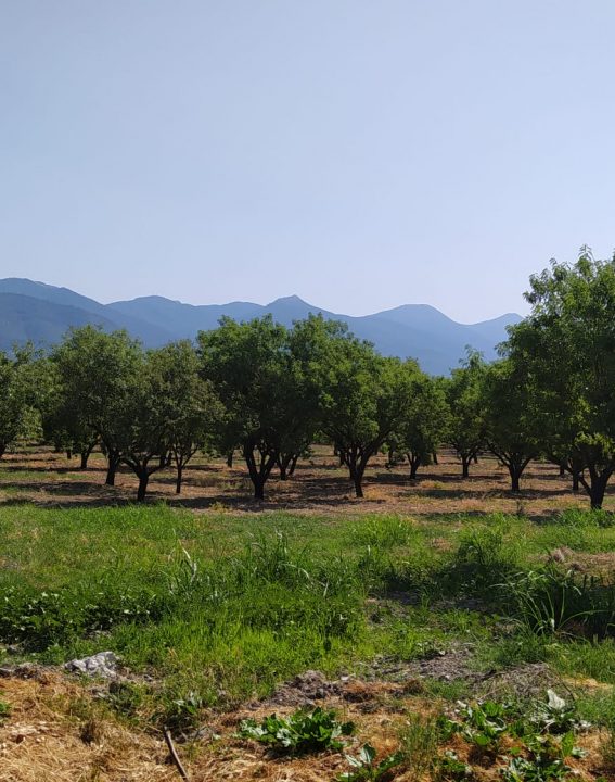 WhatsApp Image 2021-09-07 at 11.30.19 (2)