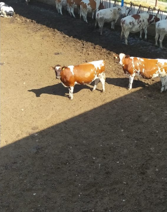 WhatsApp Image 2021-09-07 at 11.30.19