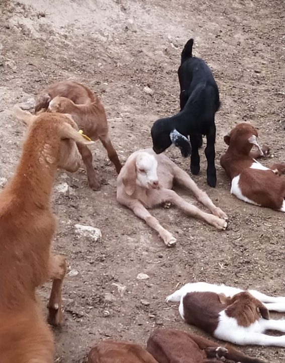 WhatsApp Image 2021-09-07 at 11.30.20 (3)