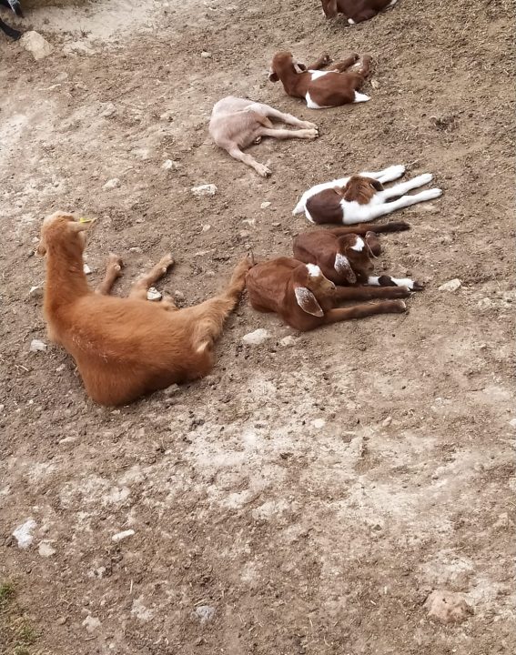 WhatsApp Image 2021-09-07 at 11.30.21