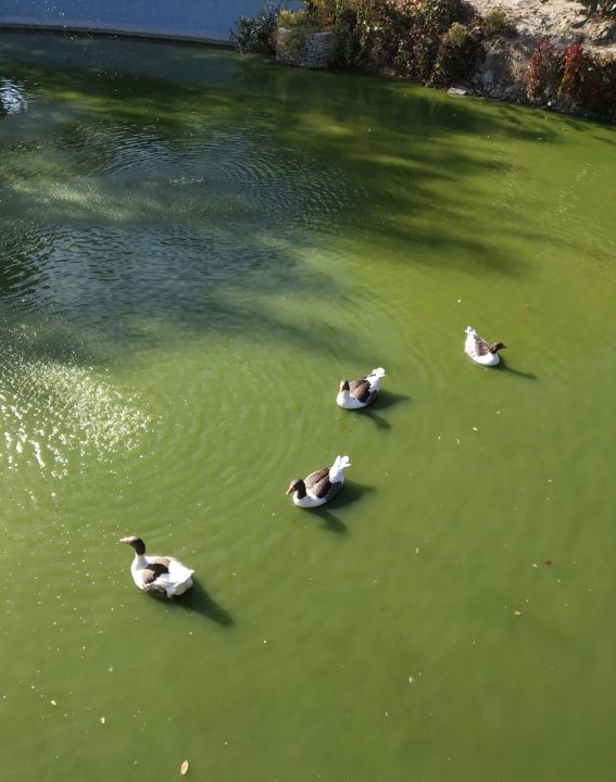 WhatsApp Image 2021-09-07 at 11.42.08 (3)