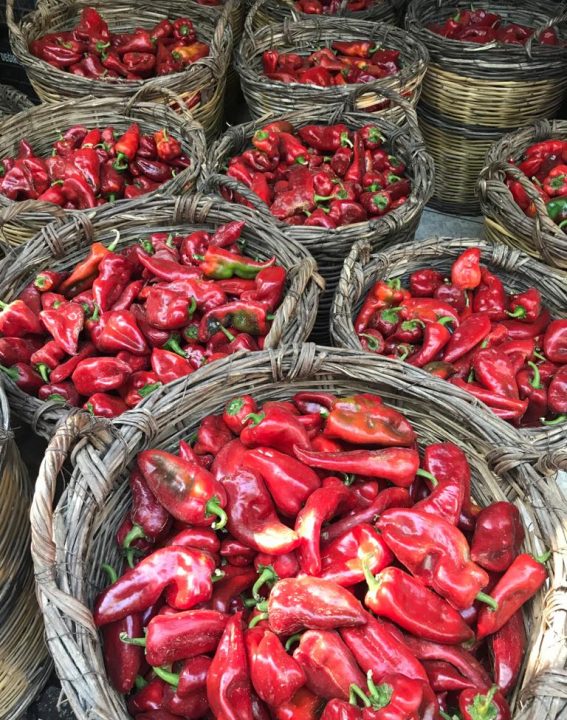 WhatsApp Image 2021-09-08 at 10.17.54 (1)