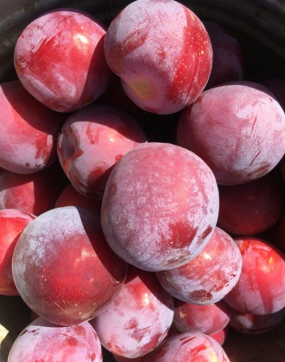 WhatsApp Image 2021-09-08 at 10.17.54