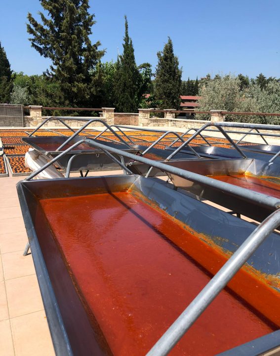 WhatsApp Image 2021-09-08 at 10.17.56 (2)