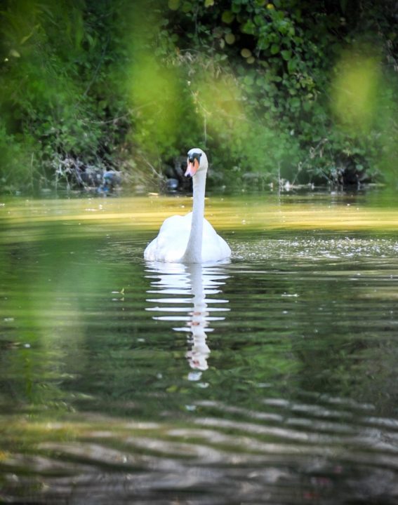 WhatsApp Image 2021-09-08 at 10.30.20 (1)