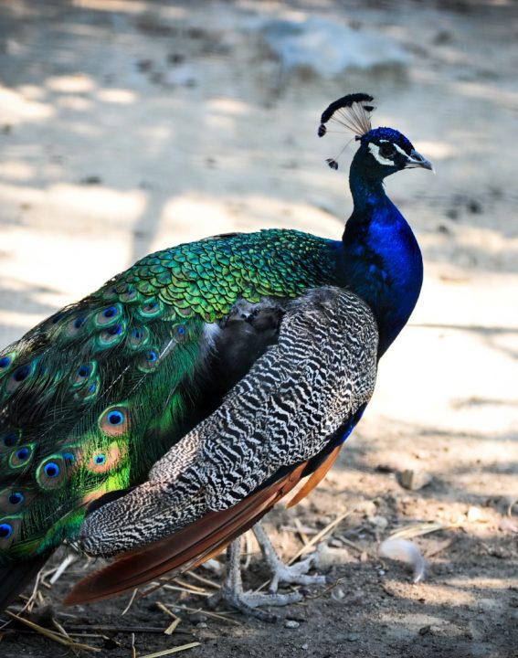 WhatsApp Image 2021-09-08 at 10.30.20 (2)