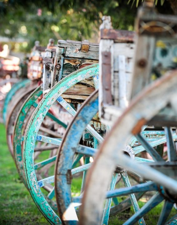 WhatsApp Image 2021-09-08 at 10.30.20 (3)