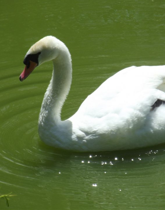 WhatsApp Image 2021-09-08 at 10.30.20