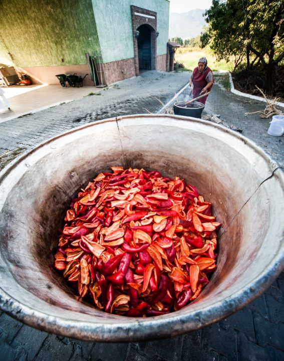 WhatsApp Image 2021-09-08 at 10.30.21 (1)