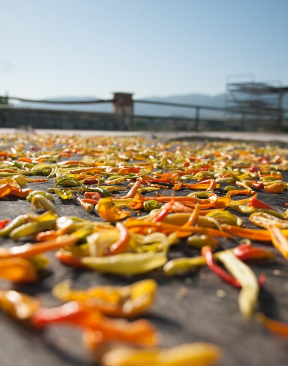 WhatsApp Image 2021-09-08 at 10.30.21 (2)