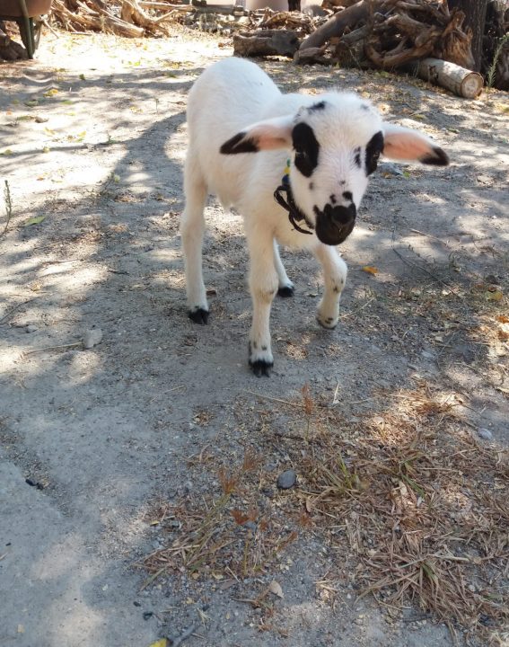 WhatsApp Image 2021-09-08 at 12.33.05